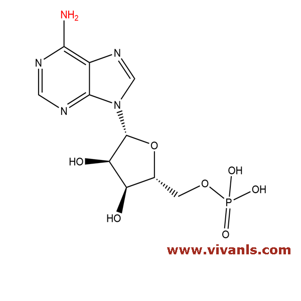 Standards-Adenosine phosphate-1661412225.png